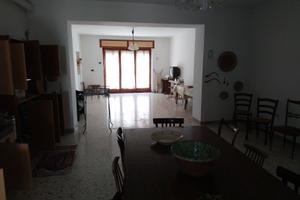 Immobile commerciale con casa e giardino