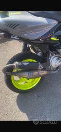 Top nardo