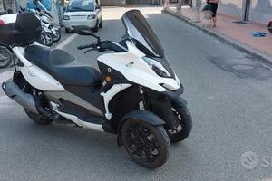 Quadro Quadro 350S - 2019