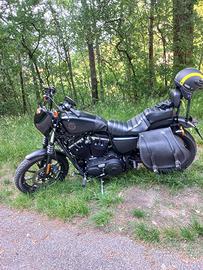 Harley davidson 883