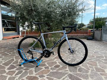 Giant TCR 1 tg ML