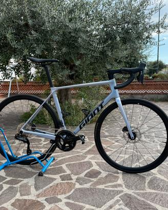 Giant TCR 1 tg ML