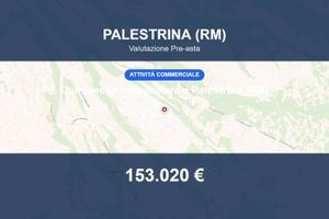 Immobile in asta di 39456 m² a Palestrina