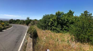 Terreno agricolo con possibilità edificare