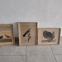 Quadri completi di cornici