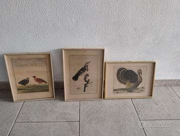 Quadri completi di cornici