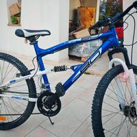 mtb ragazzo 26 pollici 
