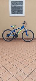 Bicicletta per bambino/ragazzo