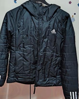 giubbino  Adidas