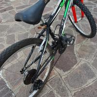 bicicletta 24 pollici 