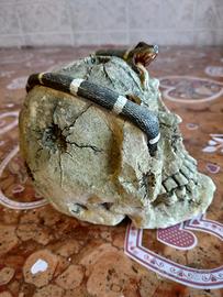 Teschio arredo acquario