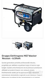 Gruppo Elettrogeno - Generatore di Corrente 6,5Kw