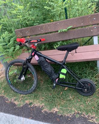 E bike custom (mini surron) 1000 watt 48 v