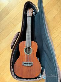Ukulele Cordoba con custodia