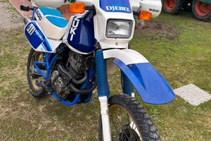 Suzuki DR 600 DJEBEL