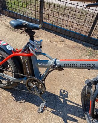bici elettrica