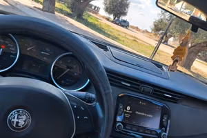 Giulietta 1.6 JTDm 120cv 2017 Block shaft