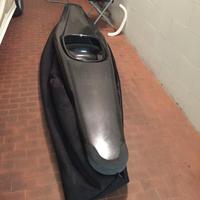 Canoapolo Berte corps