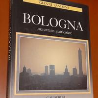 Bologna una città in particolare.