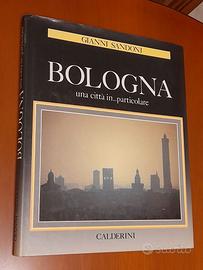 Bologna una città in particolare.