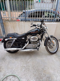 Harley Davidson sportster 883 C