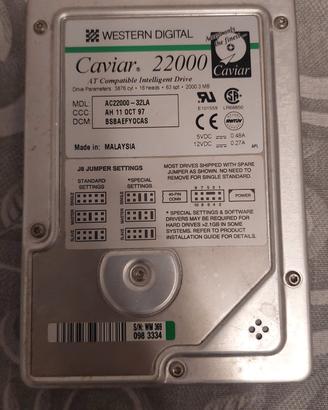 WD Caviar 22000