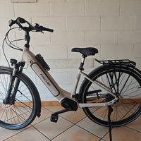 Bici bicicletta elettrica E-bike 