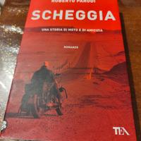 libro scheggia 