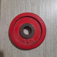 disco ghisa 1kg