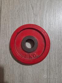 disco ghisa 1kg