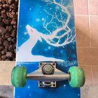 Skateboard mai usato