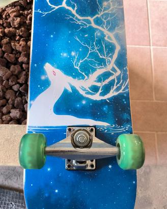 Skateboard mai usato