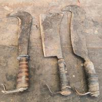 Accette per giardinaggio 