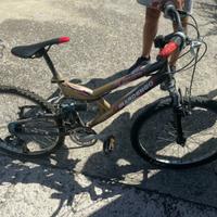 Bicicletta C 112