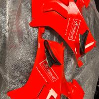 CARENE PANIGALE V4 2022-2024