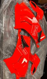 CARENE PANIGALE V4 2022-2024