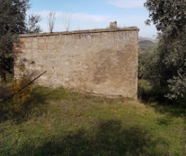 Terreno agricolo edificabile con oliveto e vigneto