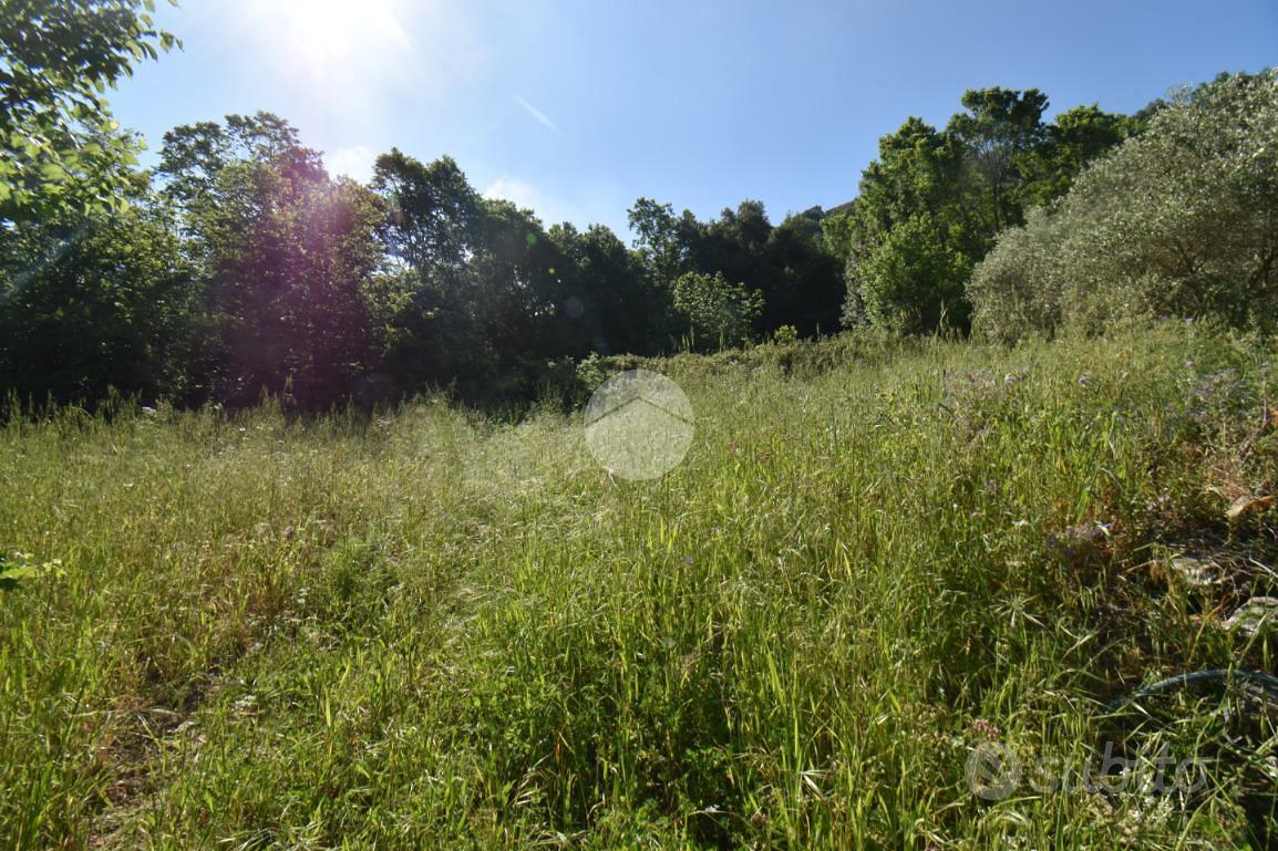TER. AGRICOLO A TORCHIARA - Vista 6