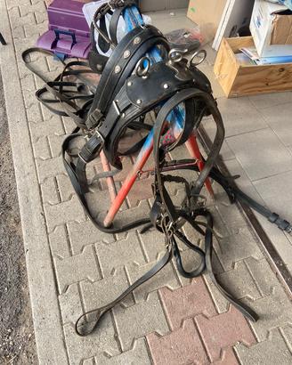 Attacchi calesse singolo