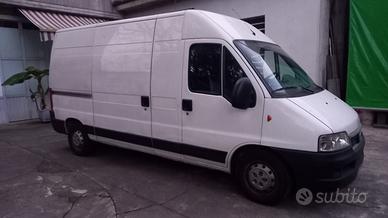  ducato
