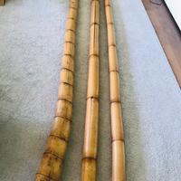 3 canne bambù arredo
