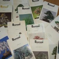 Riviste "Bonsai arte e natura"