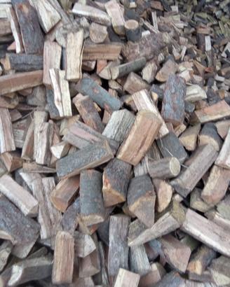 Legna da ardere secca 