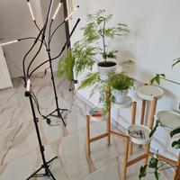 Lampade per piante