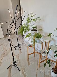 Lampade per piante