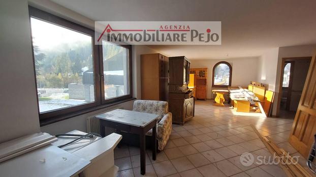 Appartamento Peio [RIF.APP.CASEROT] (Cogolo)