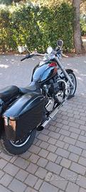 Triumph america 