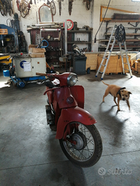 Moto Guzzi galletto 192 1981