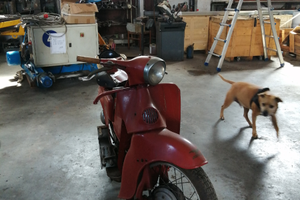 Moto Guzzi galletto 192 1981