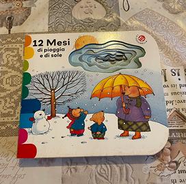 12 Mesi di pioggia e di sole